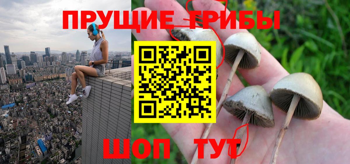 Галлюциногенные грибы Cubensis  Вход с VPN  Вышний Волочёк 