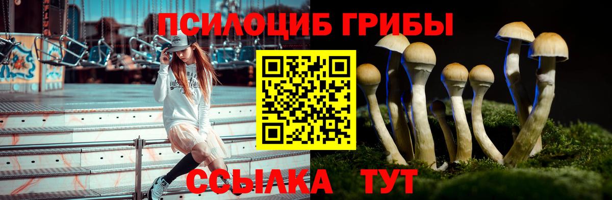 Галлюциногенные грибы Psilocybine cubensis Вышний Волочёк